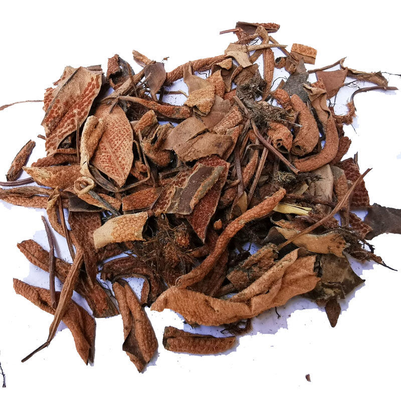 石韦中草野生中药材石苇草新鲜干货小叶石苇刀口药金星草石伟磨粉 整