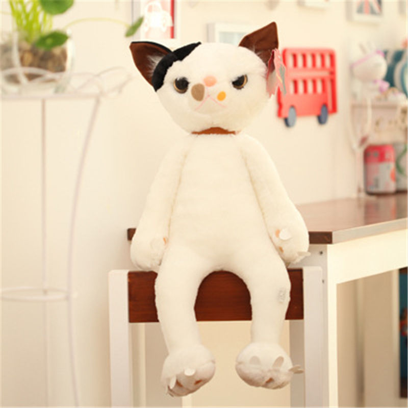 乖可爱可爱韩国猫咪不爽猫公仔毛绒玩具布娃娃小猫创意男女仿真生日