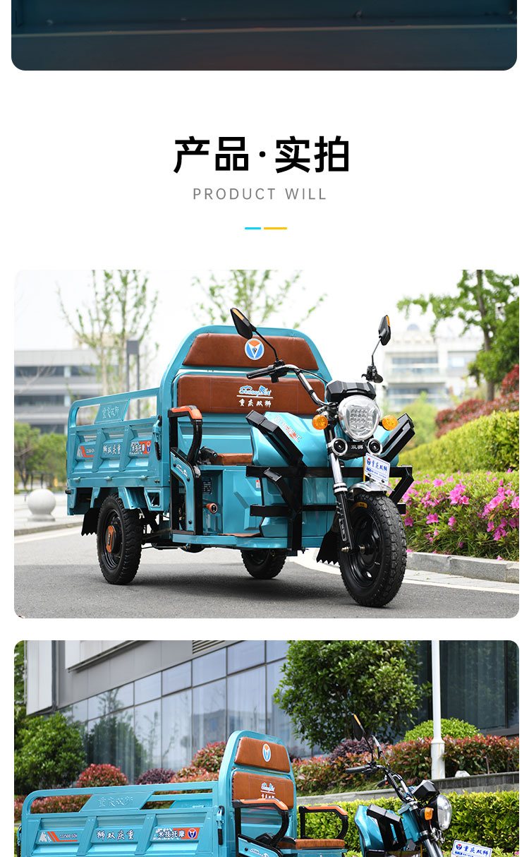 双狮电动三轮车新款成人代步载拉货快递三轮车家农用载重王电瓶车1500