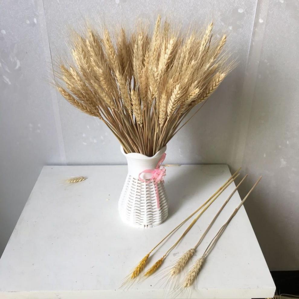迎新必备天然麦穗干花花束开业大麦客厅田园装饰摆件瓶插花真花干艺术