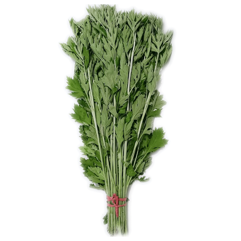 新鲜艾草 艾叶长棵艾叶草端午节挂门上整把全株艾草叶驱蚊 40棵