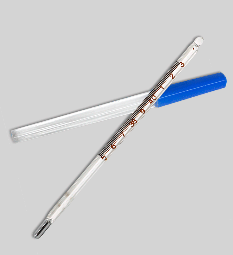 养殖器械兽用猫狗宠物玻璃猪马牛羊动物肛门测温度表 红水温度计2支