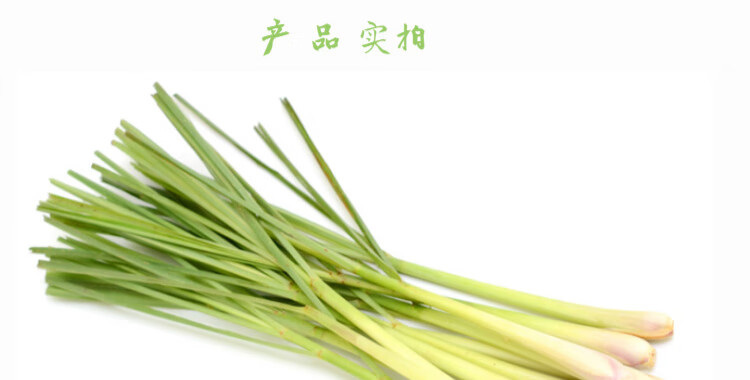 香茅草 新鲜柠檬草食用柠檬香泰国云南冬阴功汤西餐调味料 500g