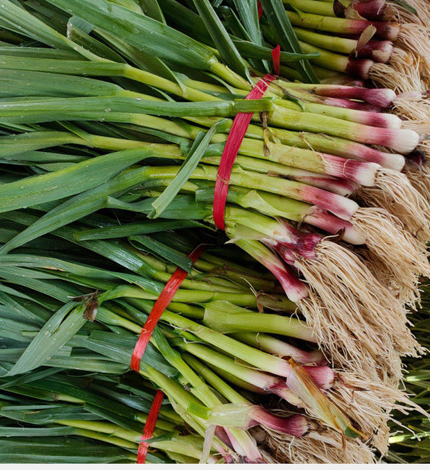 【精选果蔬】新鲜蒜苗红皮大蒜苗现摘时令蔬菜紫皮青梗香蒜苗农家自种