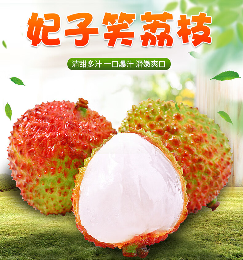 顺丰冷链海南火山妃子笑荔枝5斤 5斤顺丰冷链【图片 价格 品牌 报价】