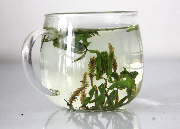 亏本卖柳叶茶柳树叶子茶叶野生保证真货柳芽茶新鲜干柳树芽花小肠火