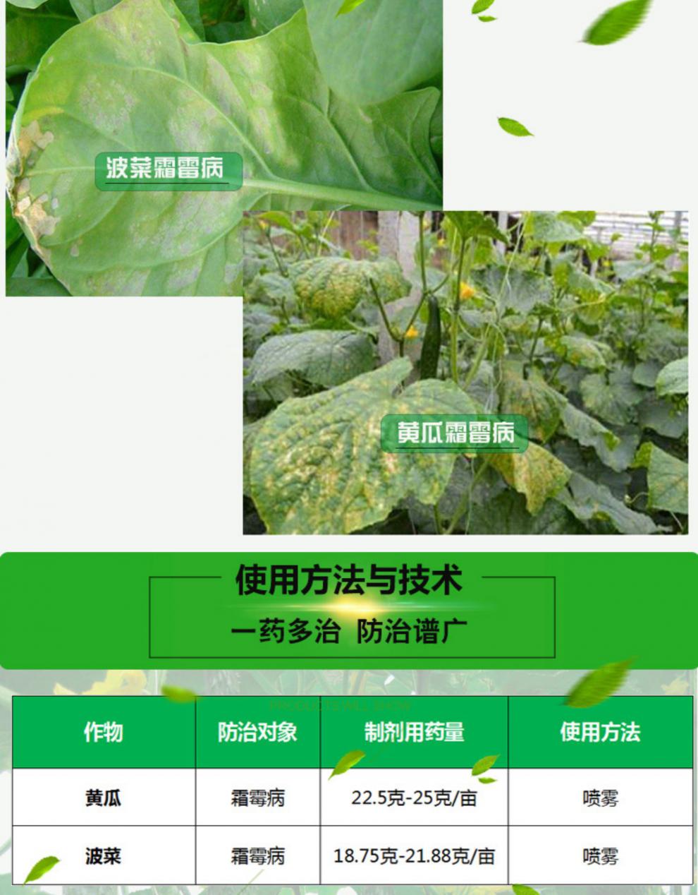 冠龙尊冠80%烯酰吗啉 辣椒黄瓜葡萄霜霉病晚早疫病农药剂g 500g