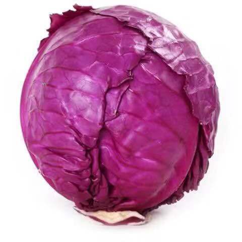 【现货直发】现摘新鲜紫甘蓝5斤】新鲜紫包菜紫卷心菜紫莲花白5斤紫