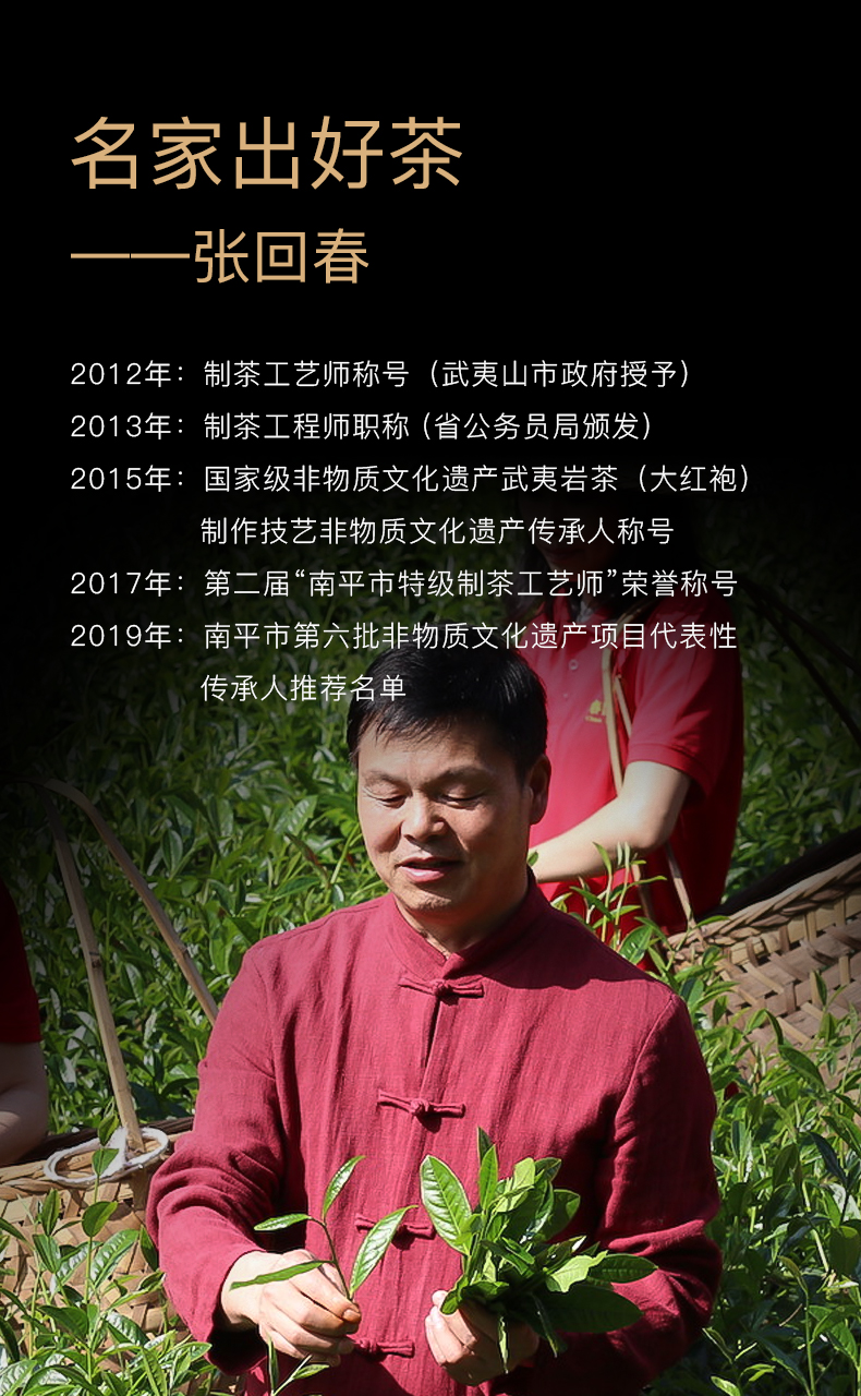 山峰系列非遗大红袍张回春正宗正岩大红袍岩茶花果香回春茶单泡品鉴装