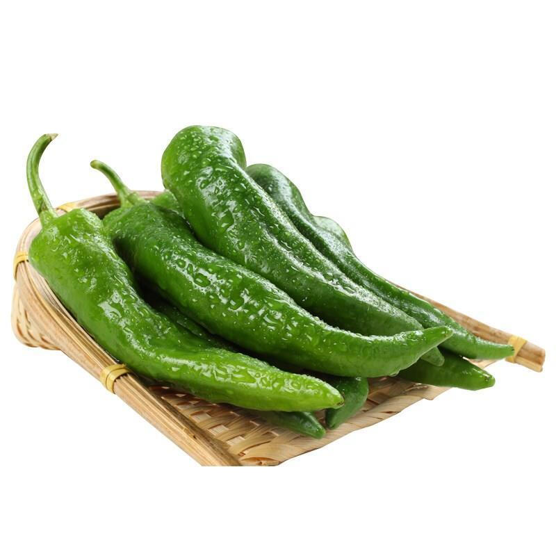 500g巨辣小青椒辣小辣椒新鲜辣椒青辣椒蔬菜辣椒 3斤净重精品