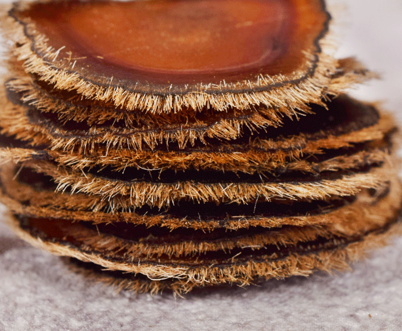 长白山吉林鹿茸片蜡片整枝梅花鹿全蜡头茬蜡片切片泡酒男性【图片