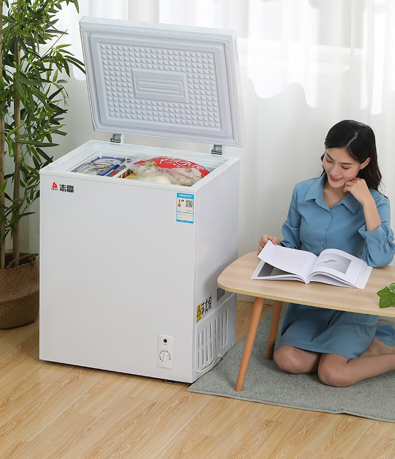 志高小冰柜家用全冷冻小型一级节能省电速冻迷你冷藏保鲜宿舍冷柜aux