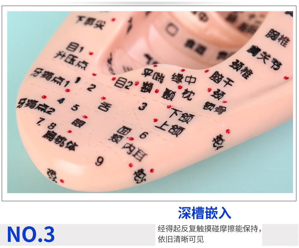 子彧ziyu耳穴贴王不留行籽耳穴压豆贴耳贴耳穴贴耳豆穴位模型王不留行