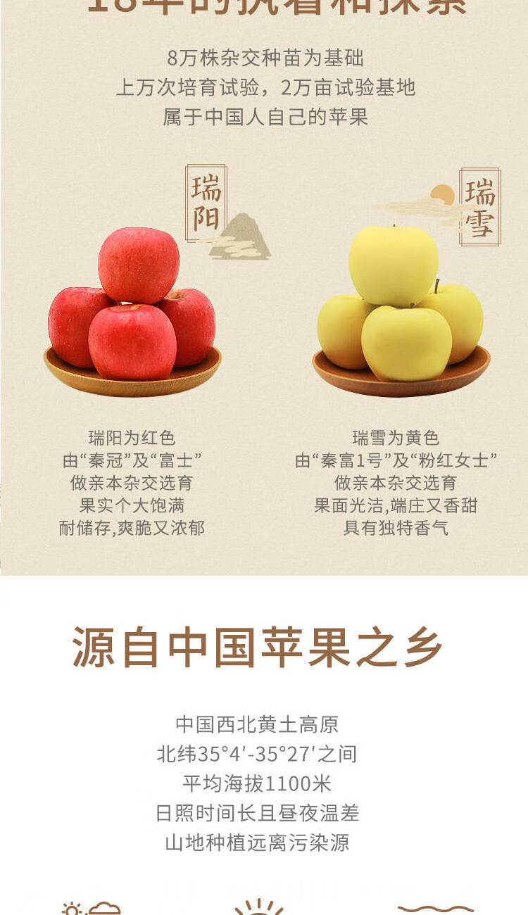 正宗陕西白水瑞雪瑞阳苹果新鲜水果现摘现发超甜脆多汁整箱70mm含75mm