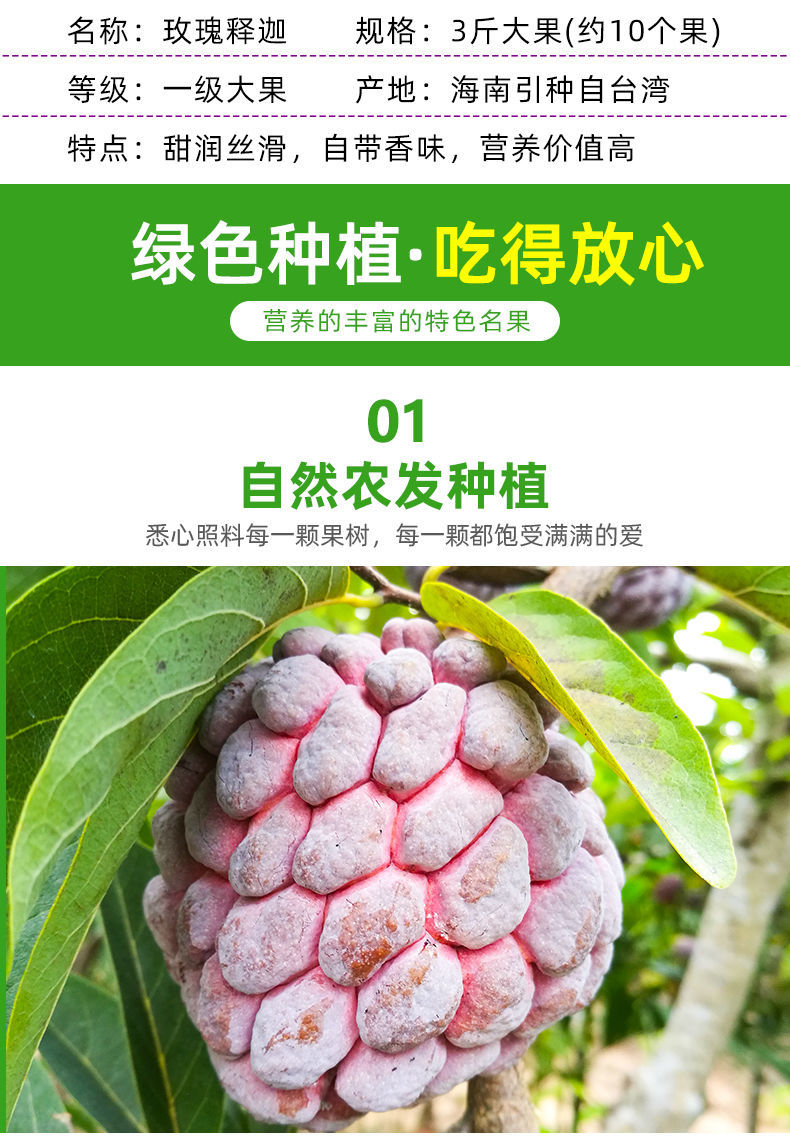 海南玫瑰释迦当季新鲜大水果孕妇红释迦紫番荔枝牟尼佛头顺丰空运中大