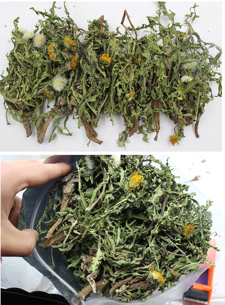 蒲公英野生干整棵泡茶散结婆婆丁根茶长根野生蒲公英整棵500g