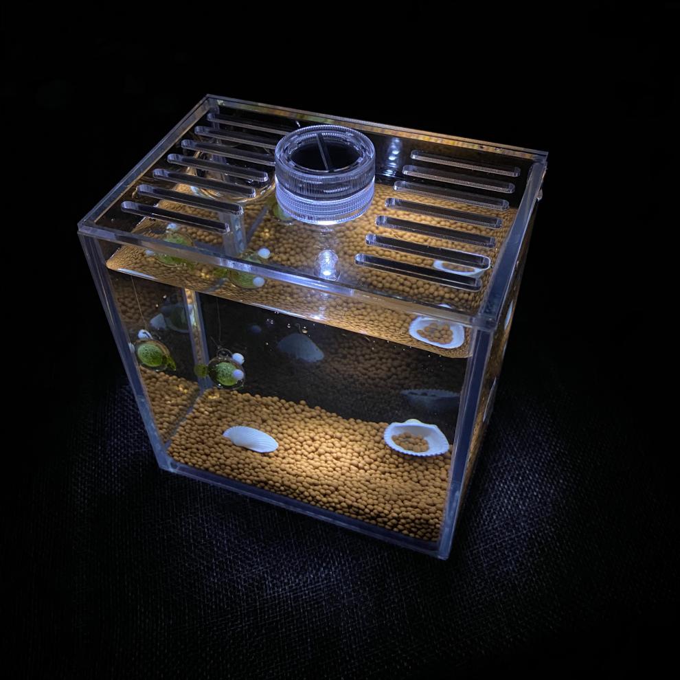 不二臣泰国斗鱼专用缸小型桌面超白缸展示级斗鱼专用缸创意桌面鱼缸