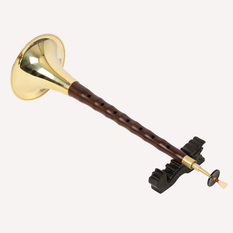 唢呐乐器初学者红白喜事成人演奏级新品全套有教学资料0黑檀d黄碗12品