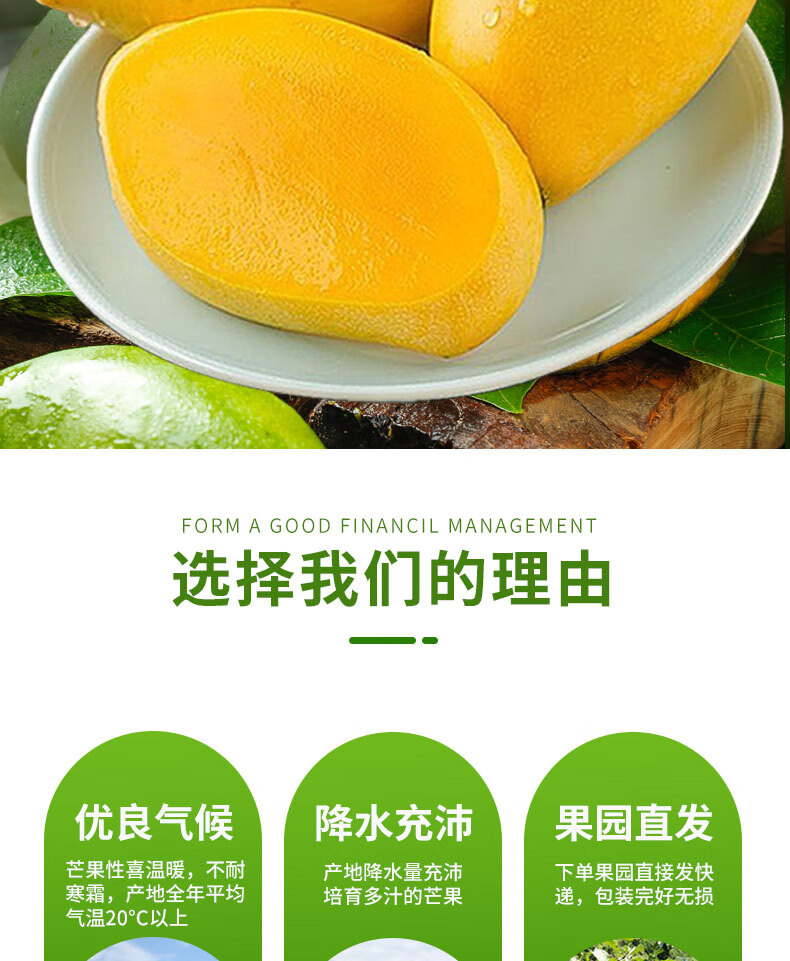 越南高乐蜜芒果 新鲜应当季水果甜心密芒黄皮芒果整箱 5斤装 大果