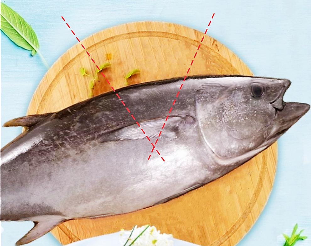 1620斤金枪鱼整条顺丰空运道客南方蓝旗刺身去鳃去脏海鲜冷冻吞拿鱼