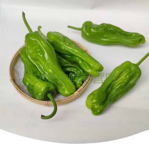 现摘现发山东新鲜薄皮青椒虎皮微辣青辣椒应季蔬菜批发普通3斤装