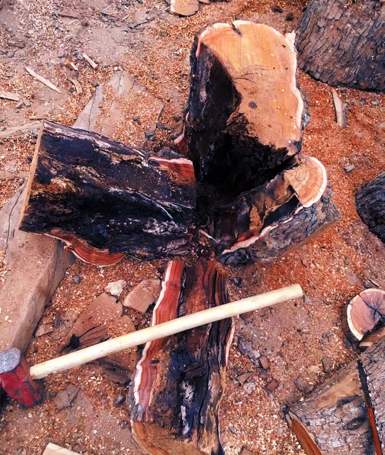 真正自然雷击木原木伐切割千年枣树道家法器雷击枣木雷击桃木随机发