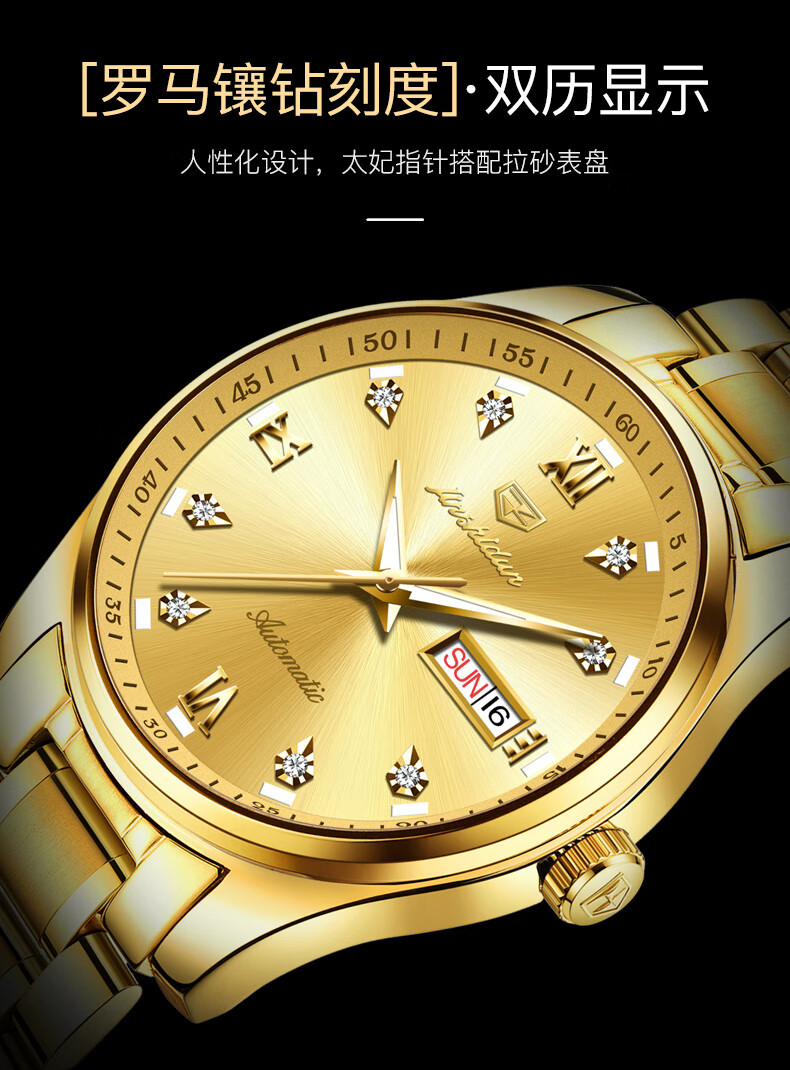 瑞士名表手表男士机械表全自动十大品牌双日历夜光防水8904全黑升级版