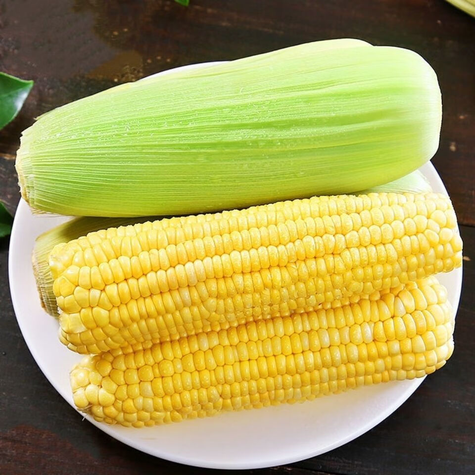 老农夫 云南水果玉米 甜糯玉米新鲜现摘 甜玉米粒 嫩玉米棒新包谷