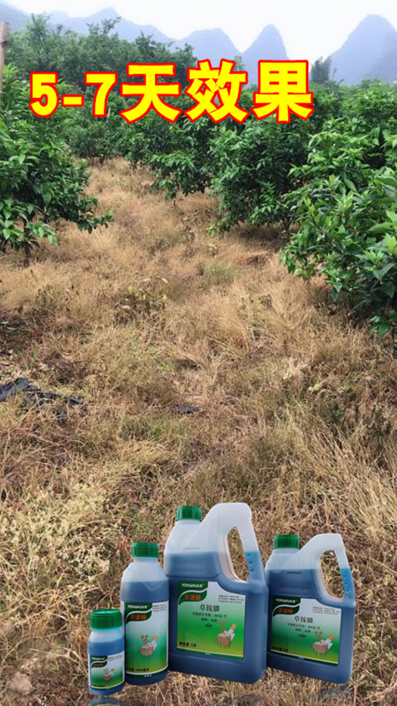 永农百速顿20草铵膦草铵磷草胺磷果园牛筋草小飞蓬除草剂烂根草5kg