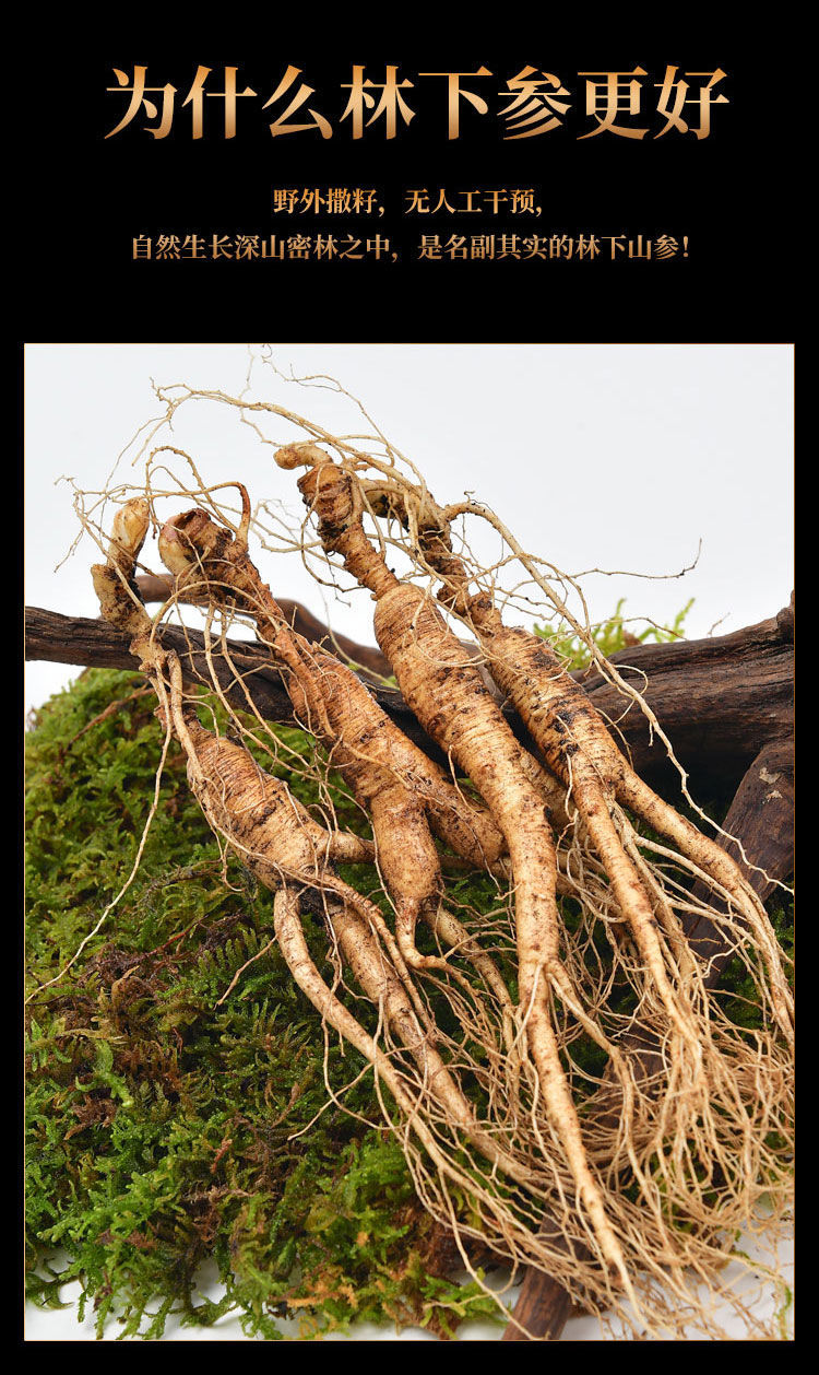 凯史甘斯 林下人参15-20年新鲜人参长白山林下野山参泡酒煲汤高龄参