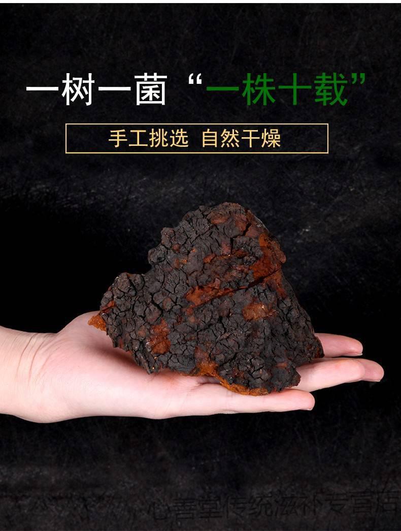 桦树茸桦树茸桦褐孔菌桦树茸长白山桦树茸野生桦褐孔菌桦树茸300克
