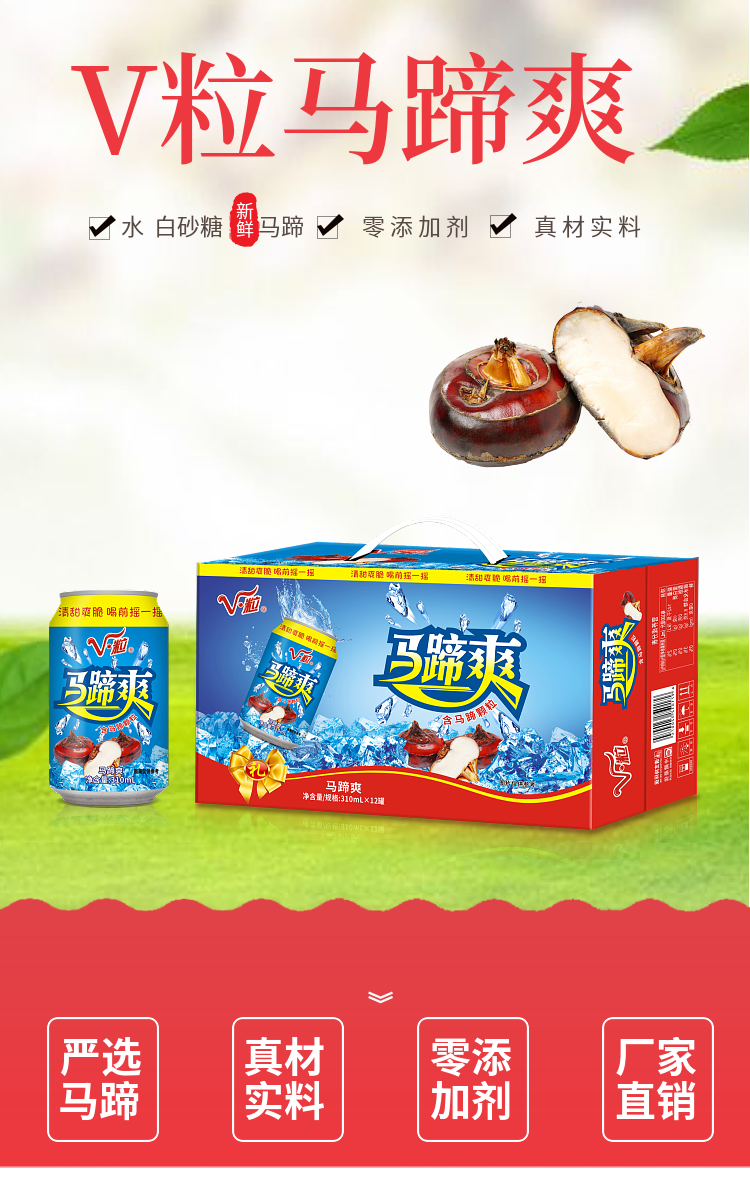 广东特产马蹄爽清凉消暑饮料真果粒荸荠整件310毫升24罐