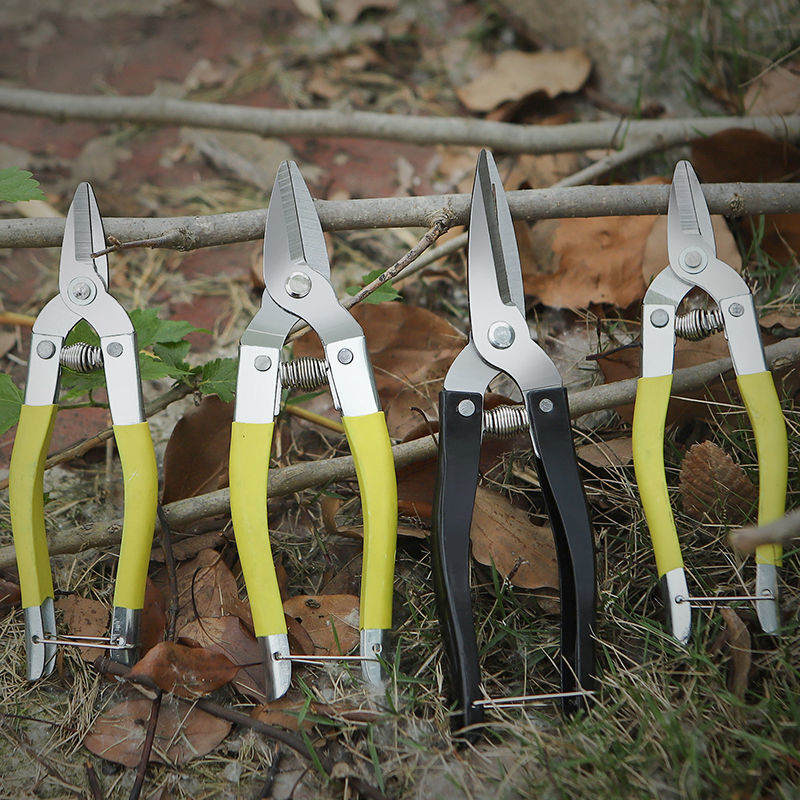 水口钳不锈钢剪刀剪果剪摘果剪柑桔剪修枝剪水果采摘剪刀钢剪枝剪刀