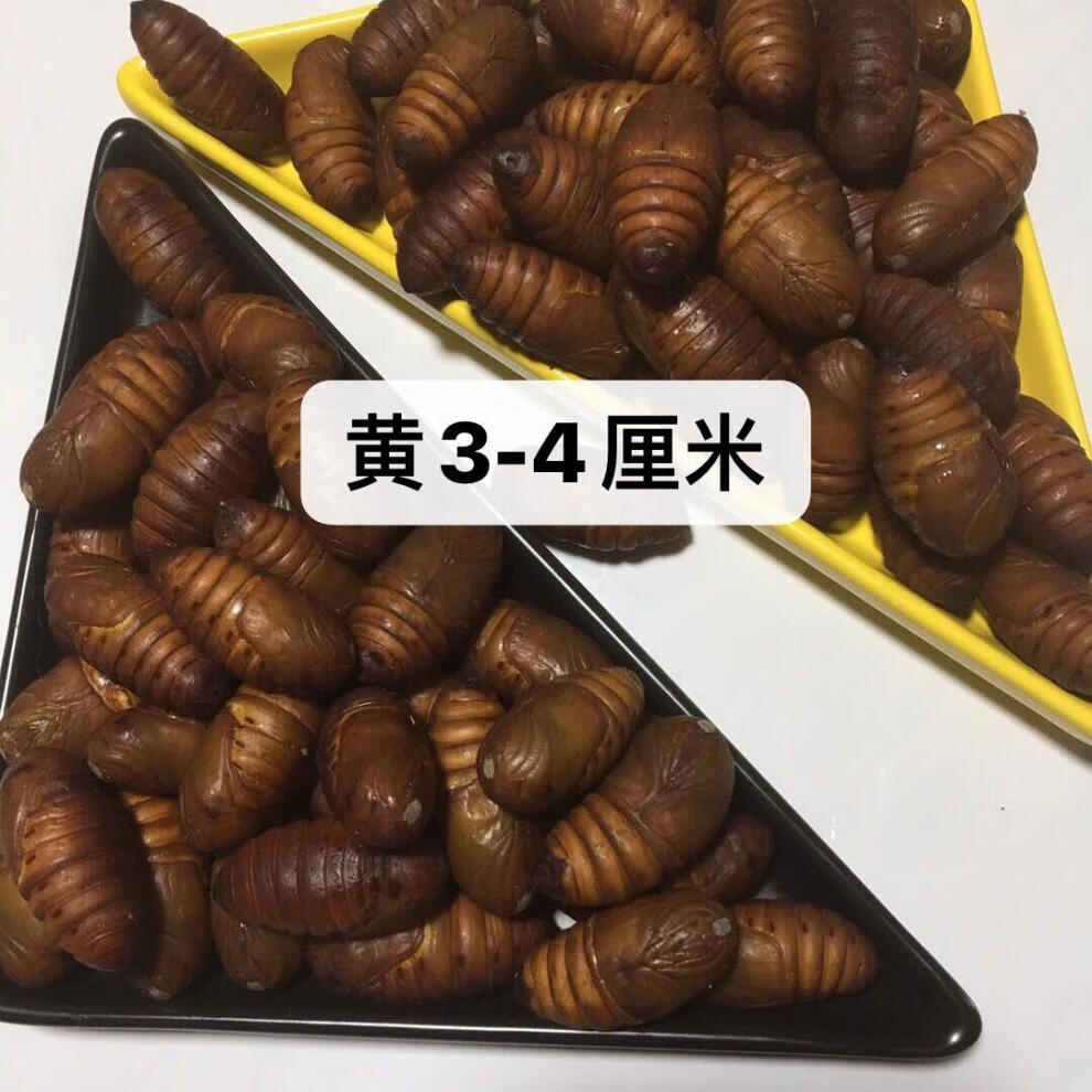营口直发东北特产野茧蛹大黄蛹柞蚕蛹蝉蛹2021年新鲜活蚕蛹1斤二黄34