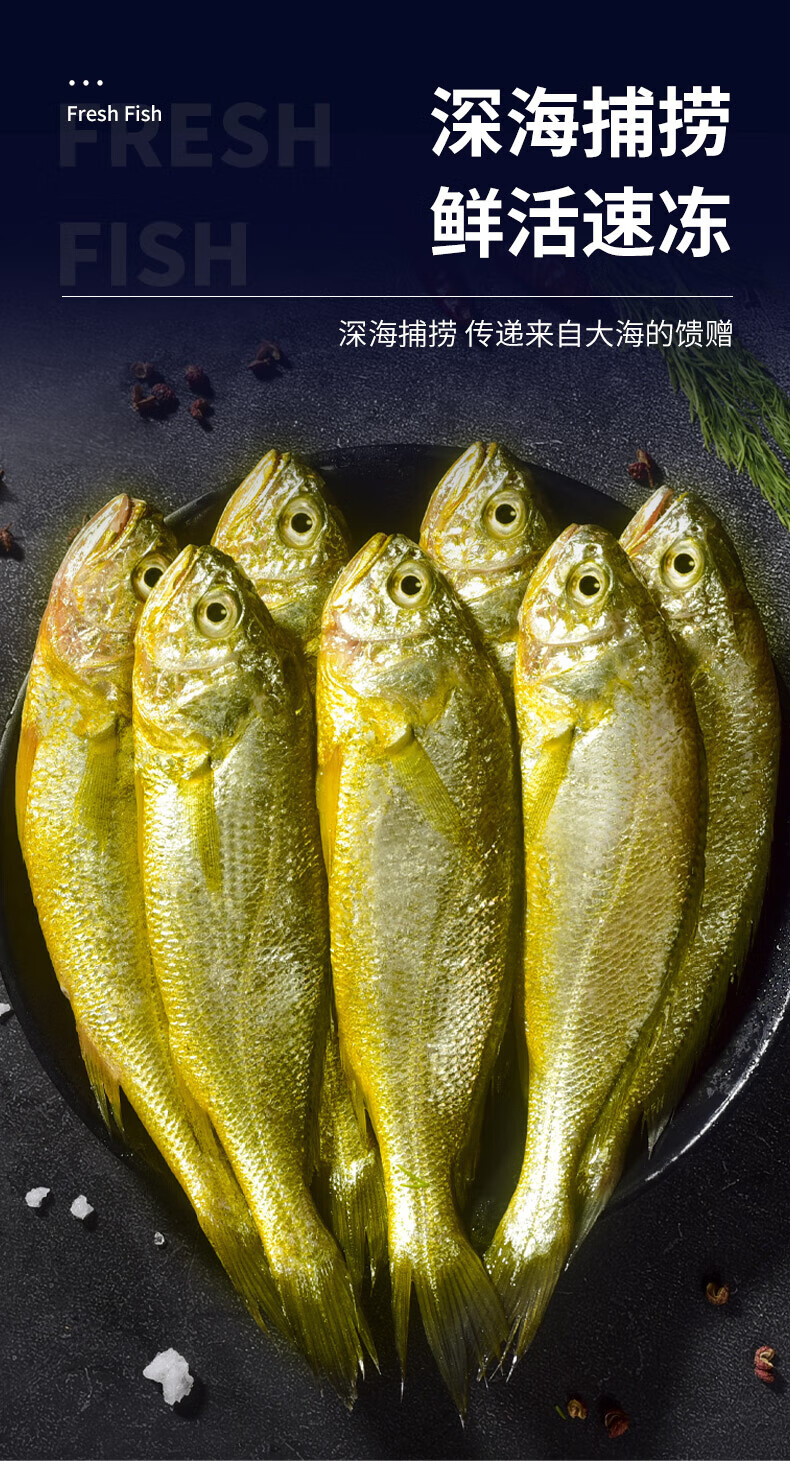 锦祥橙 青岛小黄花鱼新鲜海捕鲜活5斤小黄鱼冷冻生鲜海鲜水产深海鱼 5