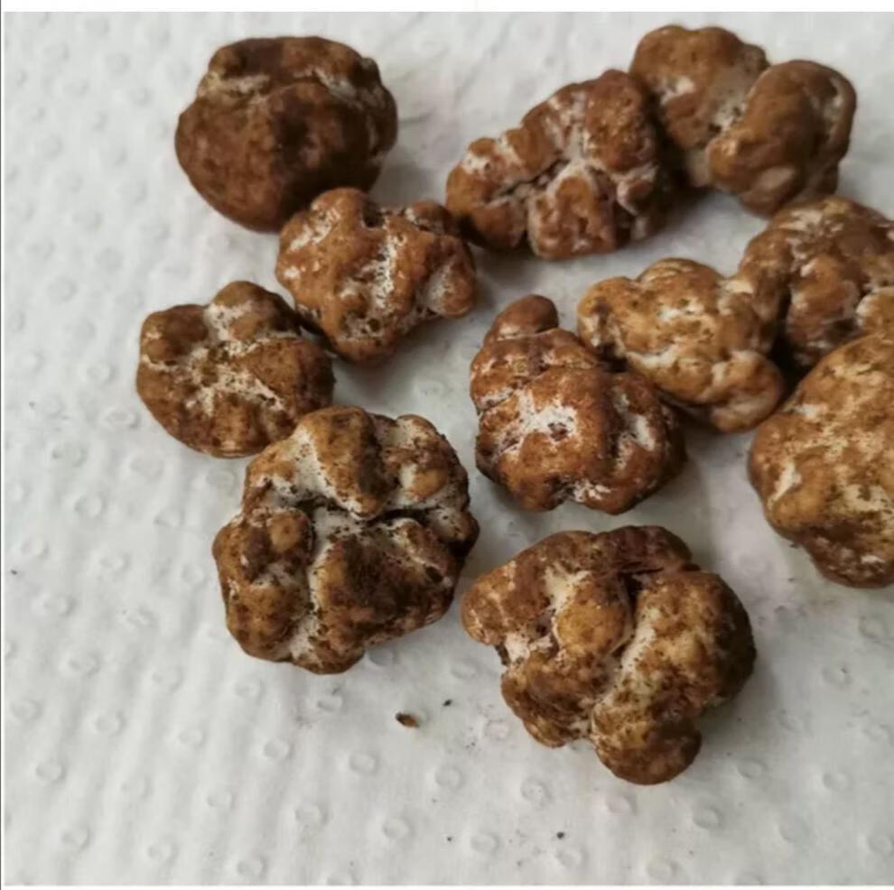 阿尔巴白松露冰冻白松露云南特产1kg装山珍香菇干货白松露250克尝鲜装