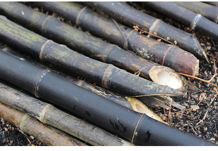 紫竹杆紫竹竿装饰菜园搭架装潢装修黑竹子篱笆跳舞防腐隔断屏风紫竹杆