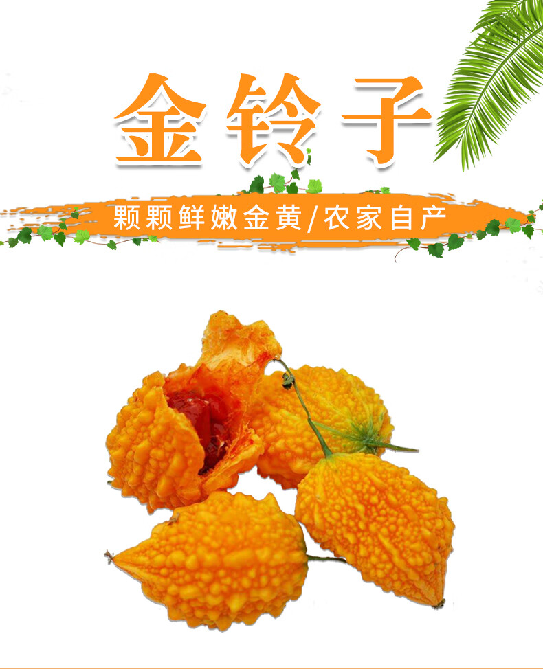 玫栀 顺丰 苏州特产金铃子赖葡萄新鲜水果黄金果3斤装 1500g【图片