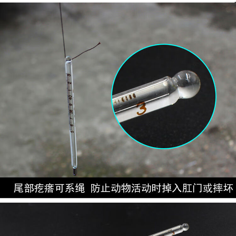 表动物肛门温度表宠物猪牛羊用水银测温 电子软头(带绳带夹子)【图片