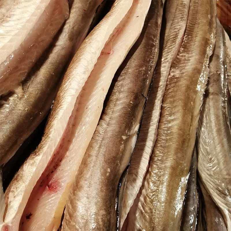 海鳗鱼霞浦新鲜大鳗鱼去头去内脏海鲜水产海鳗鱼饭鳗鱼片 3斤去头去