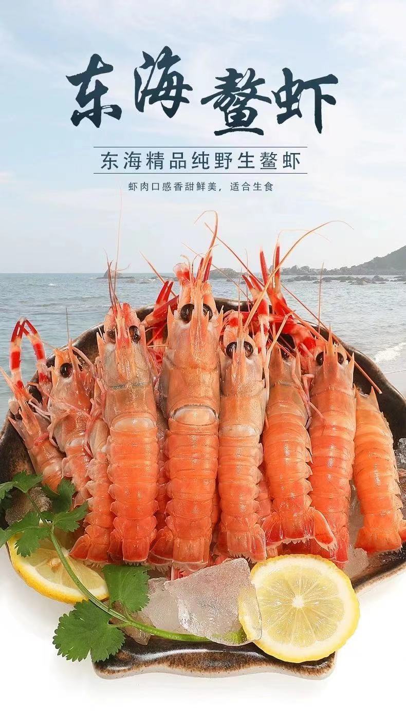 魃鲜 舟山鳌虾深海小龙虾 新鲜船冻海鳌虾刺身日料食