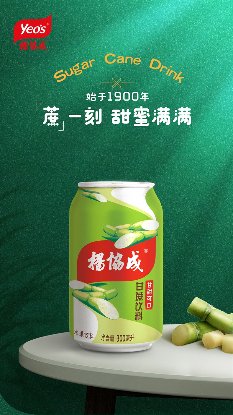 杨协成甘蔗饮料 竹蔗水果蔬汁甘甜水果味果汁饮料茶饮礼盒装12罐装