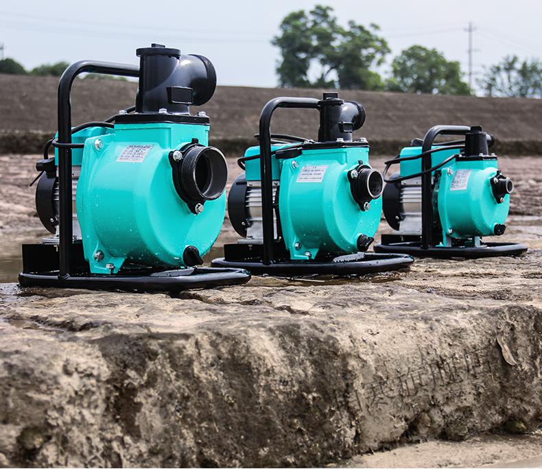 便携锂电户外抽水泵农用浇花浇地增压48v60v充电家用抽水机48v6安专用