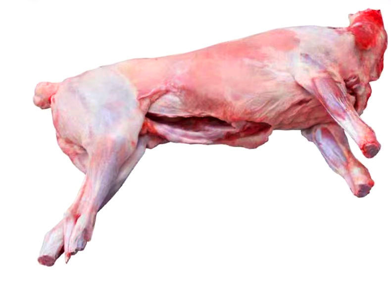 现宰新鲜宁夏半羊烤全羊整只15-40斤整羊批发去皮羊羔肉 山羊全羊30斤