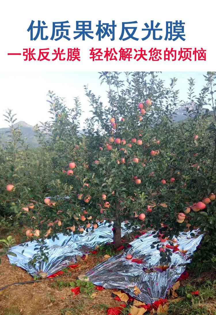 苹果树反光膜纸农用大棚专用果树果园葡萄桃地增色上色地膜 1.