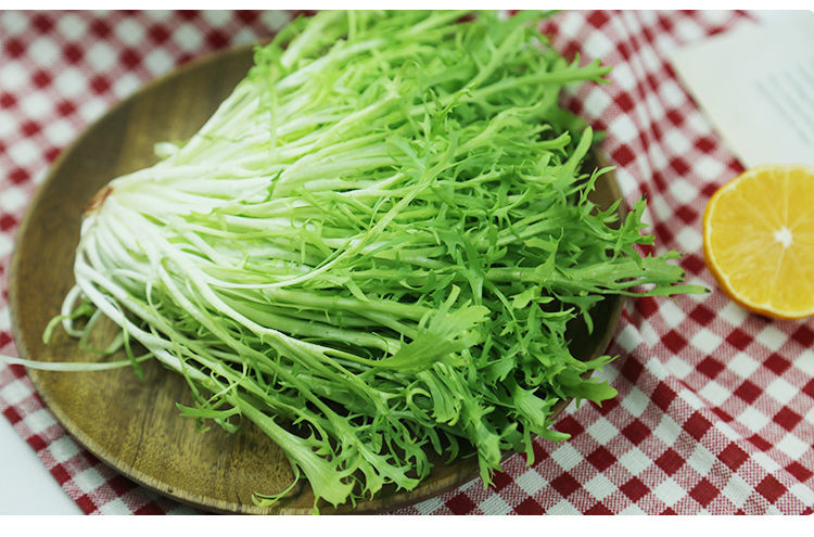 橙伯乐新鲜苦菊黄心苦叶生菜狗牙生菜九芽蔬菜沙拉菜食材500g