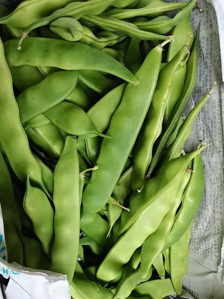 油豆角 正宗东北油豆角新鲜嫩蔬菜黑龙江大豆角宽豆角5斤顺丰 2500g
