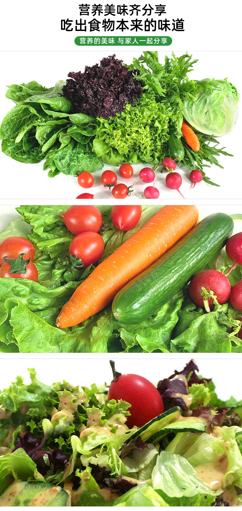 沙拉蔬菜组合 新鲜混合蔬果生菜轻食套餐西餐沙拉食材 3斤装