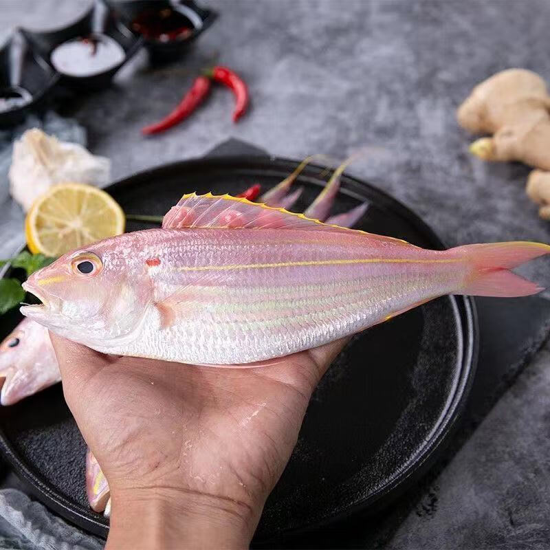 红杉鱼新鲜去肚冷冻鲜活水产金丝鱼海钓海捕金线批发去肚金丝鱼4斤12