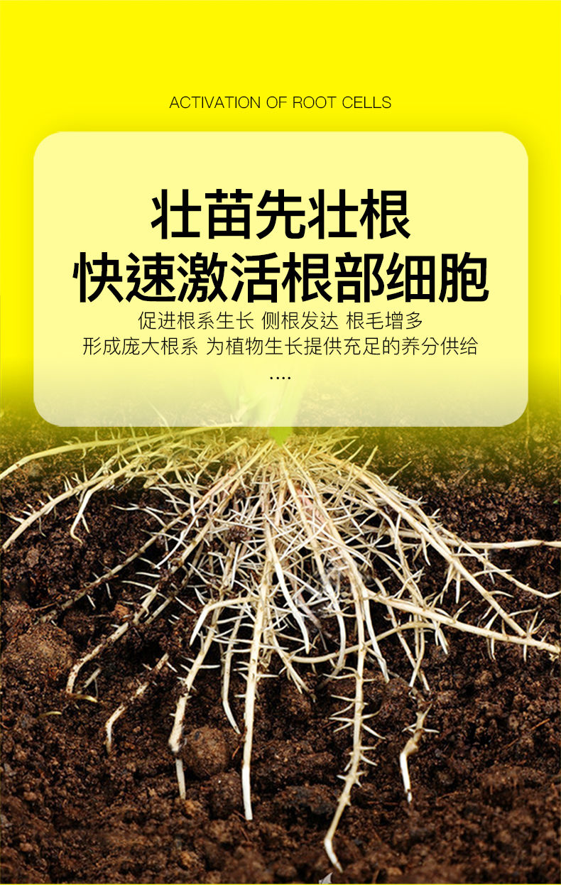 树苗生根剂生根粉快速发根多肉植物花卉扦插移栽通用强力生根剂果树